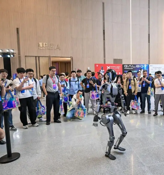 2024中国人形机器人开发者大会活动