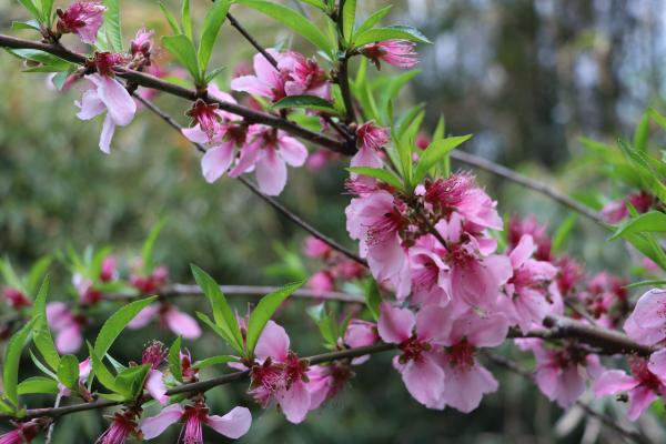 金山职业技术学院