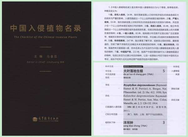 中国入侵植物名录