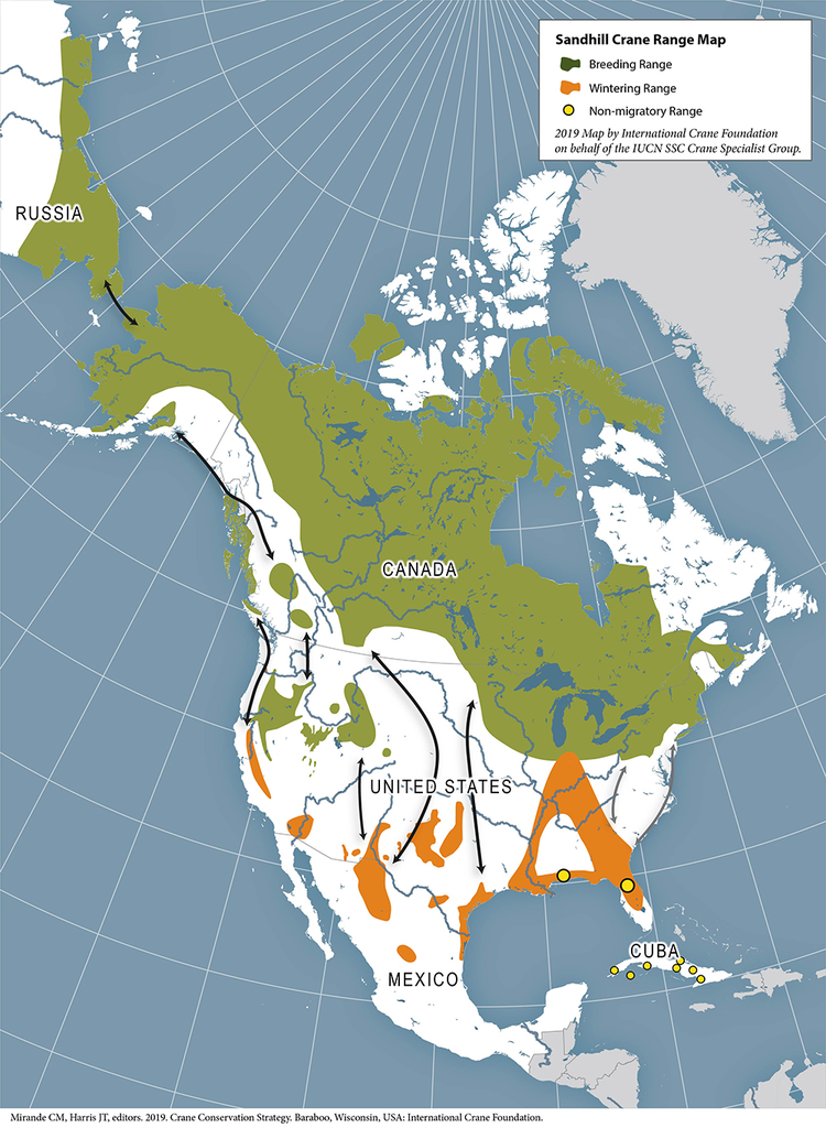 sandhill_cranes_v2_1000   分布图-世界鹤类.jpg
