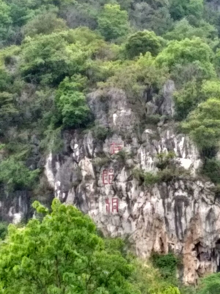 镇宁布依族苗族自治县