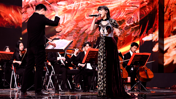 中央广播电视总台2023网络春晚