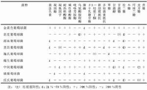 金黄色葡萄球菌A蛋白