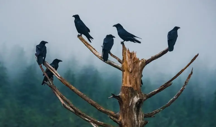 1694091627653.png