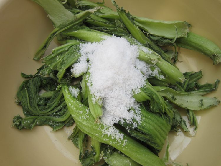 盐渍芥菜