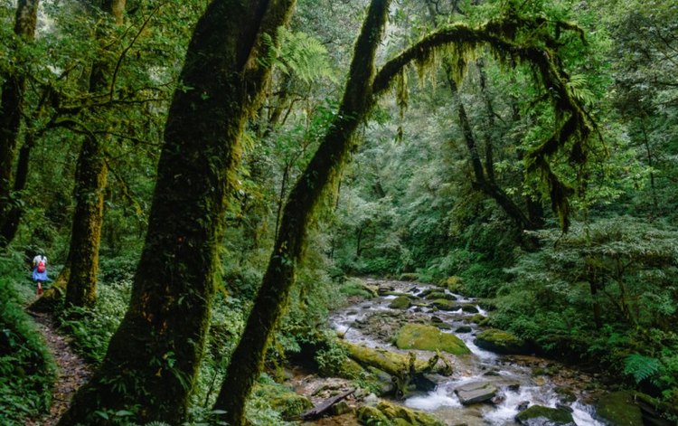 迪庆藏族自治州