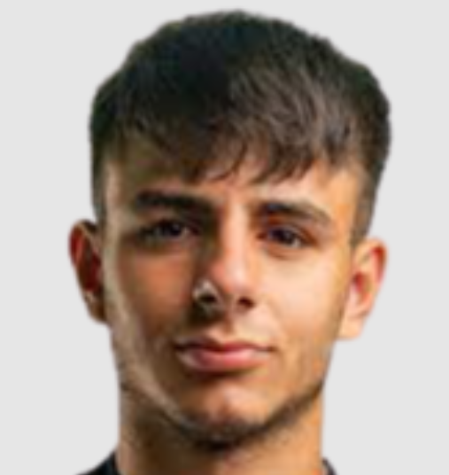 贝西克塔斯足球俱乐部