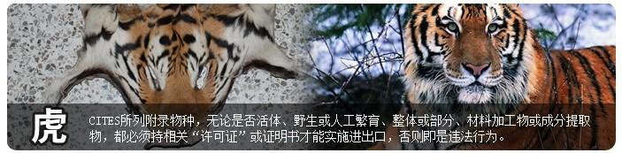 中华人民共和国濒危物种科学委员会