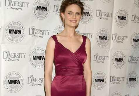 威廉·斯坦福德·戴维斯