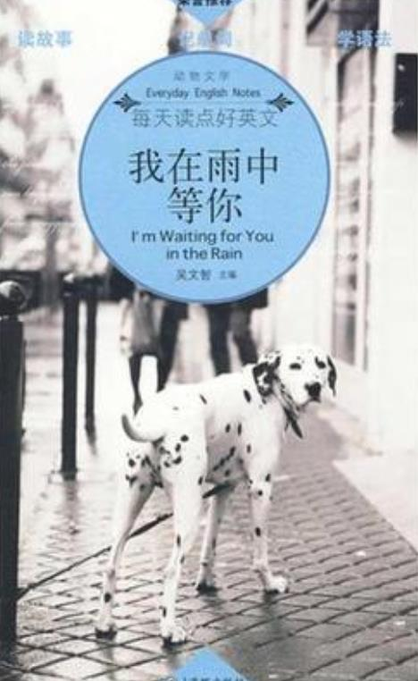 我在雨中等你