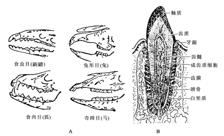 粘贴图片1-1694526963514.png