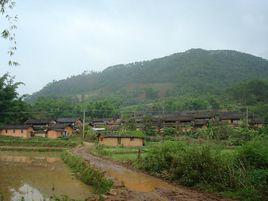 王家村