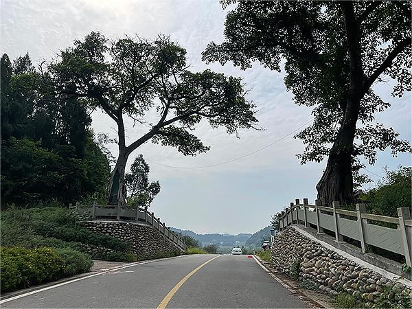 简阳市