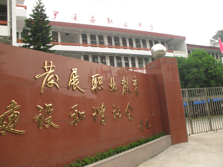 职业高中
