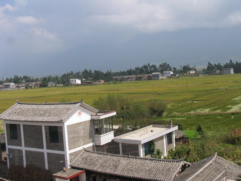 辛营村