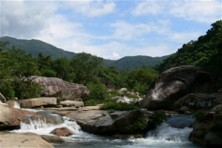 吊罗山.jpeg