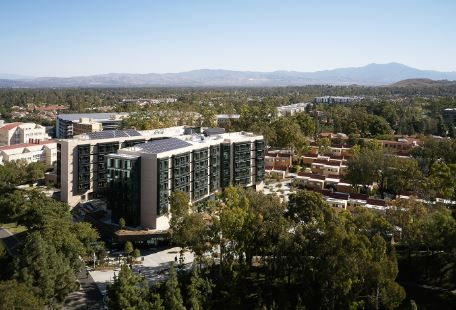 加利福尼亚大学尔湾分校