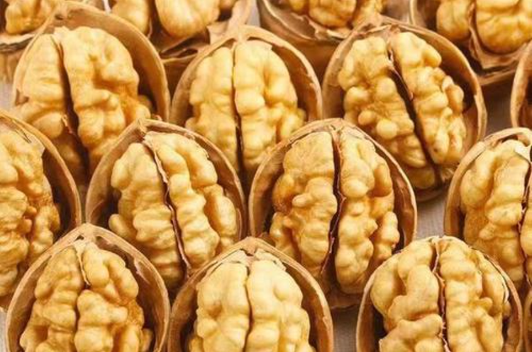 新疆维吾尔自治区