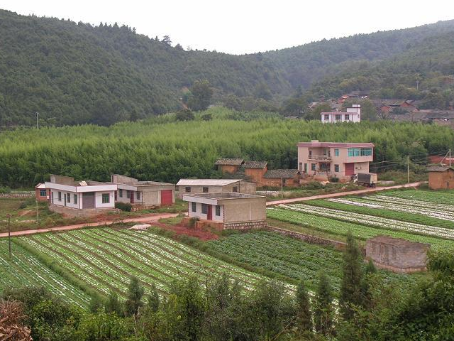 花箐村