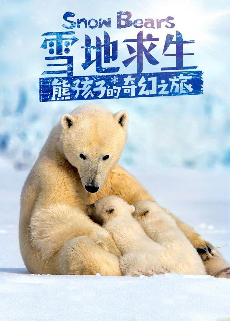 凯特·温斯莱特