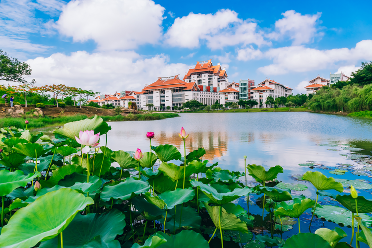 厦门大学嘉庚学院