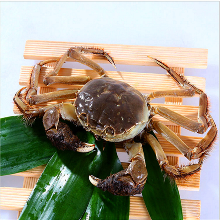 汈汊湖螃蟹