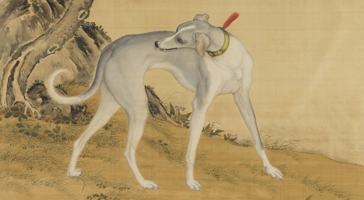 哮天犬