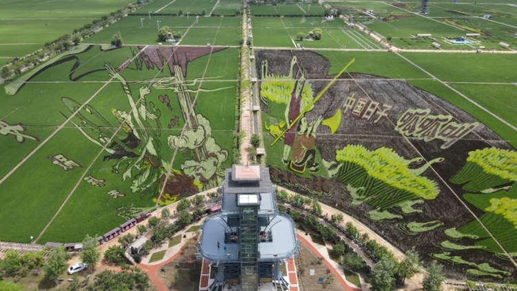 沈北新区