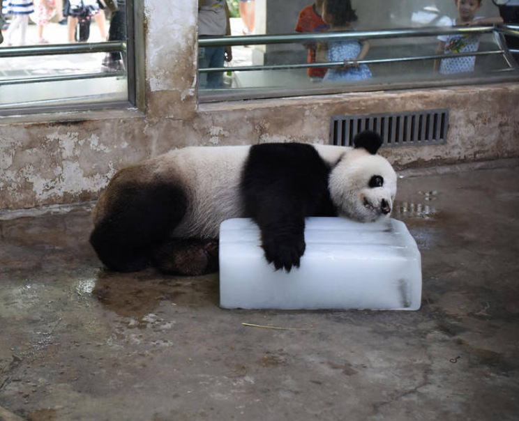 微信截图_20230808200342.png