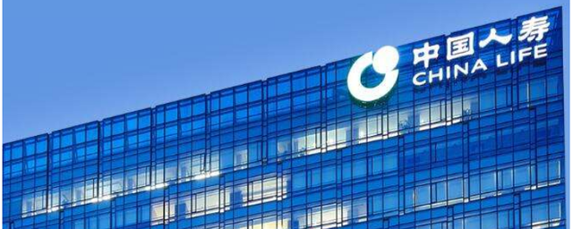 中国人寿保险（集团）公司