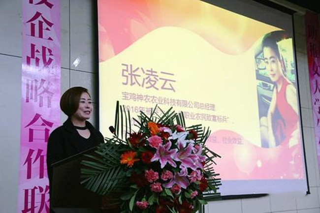 张凌云