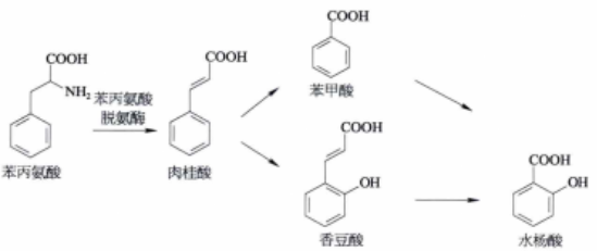 水杨酸