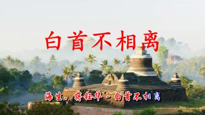 白首不相离