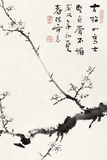 霍春阳