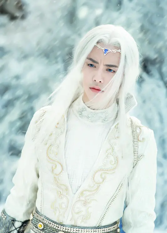 幻城 马天宇.png