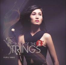 杨飞飞[青年胡琴演奏家、歌手]