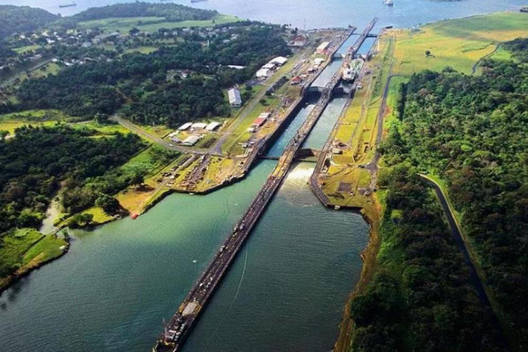 西奥多·罗斯福