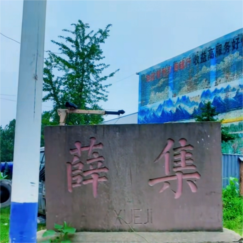 薛集村