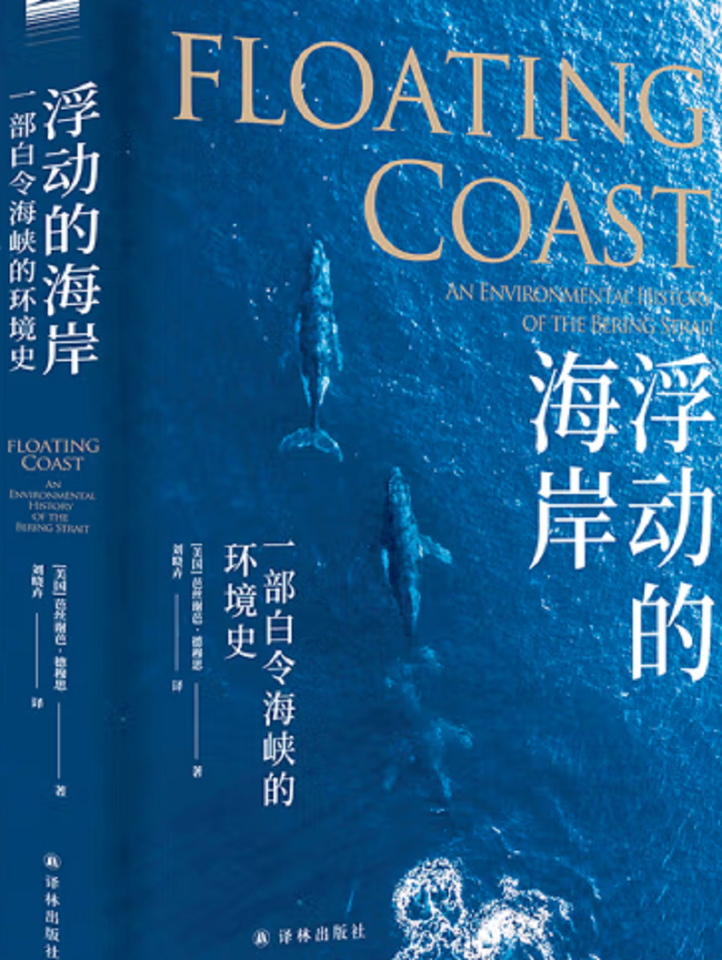 浮动的海岸