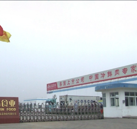 河南众品食业集团