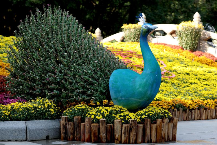 第九届黄花文化节