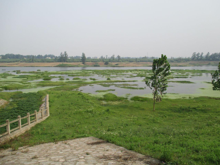 沙颍河国家湿地公园