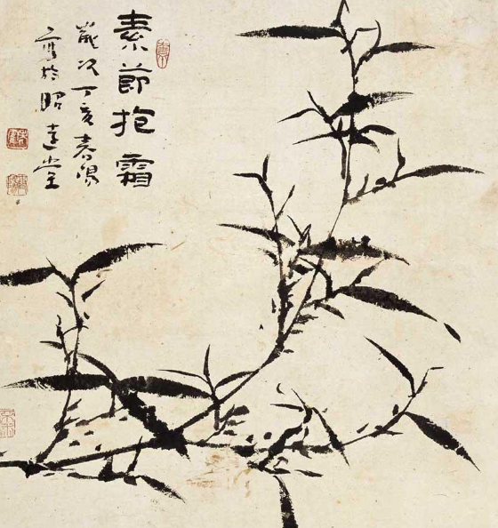 霍春阳