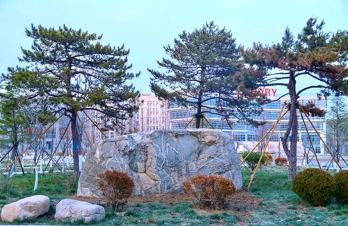 潍坊理工学院