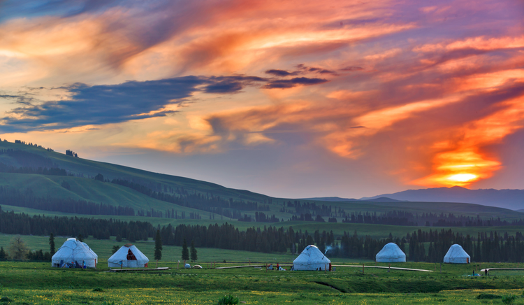 新疆维吾尔自治区