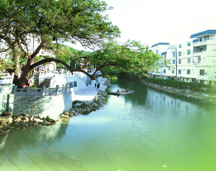 “茶船古道”起点——合口街古码头.jpeg
