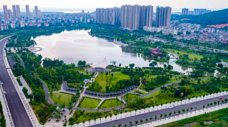 陈家湖公园.png
