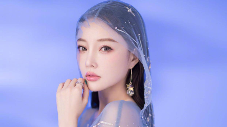 少年英雄之洪文定