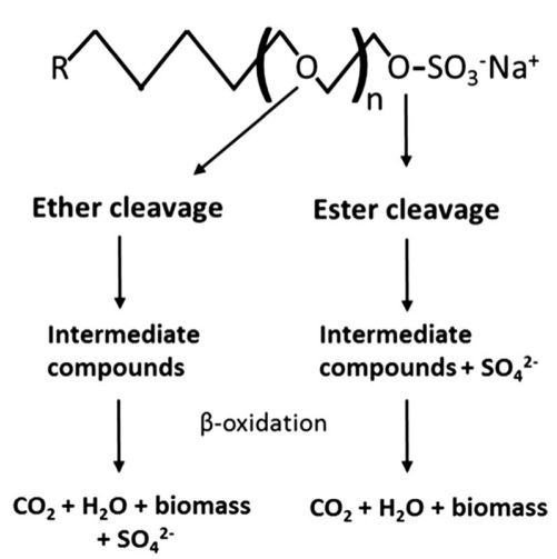 月桂醇聚醚硫酸酯钠