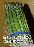 阿特拉斯